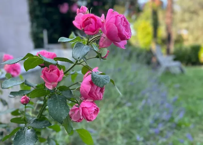 Apartmán The View Opatija