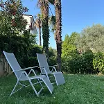 The View