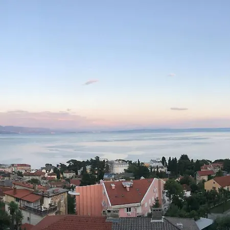 The View *