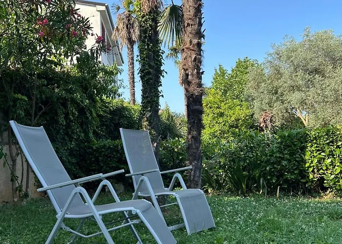 The View