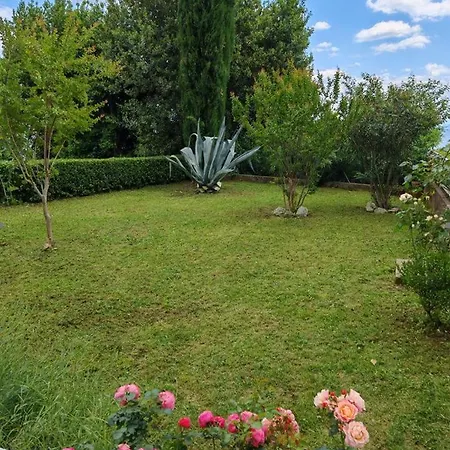 דירה The View אופטיה